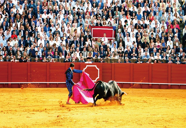 Bullfighting workshop